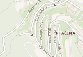 Dvořákova v obci Adamov - mapa ulice