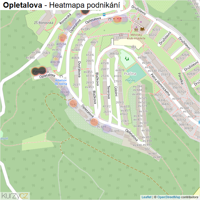 Mapa Opletalova - Firmy v ulici.