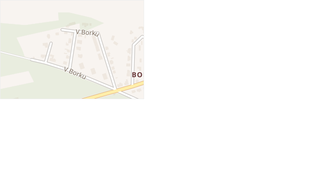 V Borku v obci Albrechtice nad Orlicí - mapa ulice