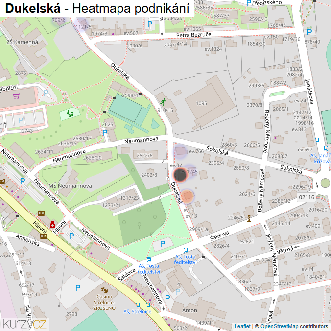 Mapa Dukelská - Firmy v ulici.