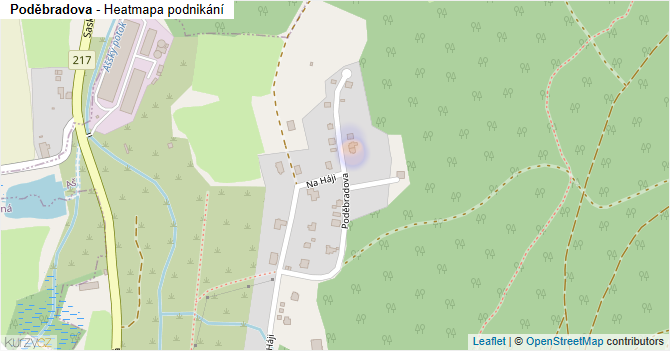 Poděbradova - mapa podnikání