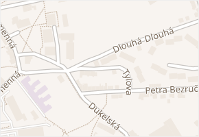 Tylova v obci Aš - mapa ulice