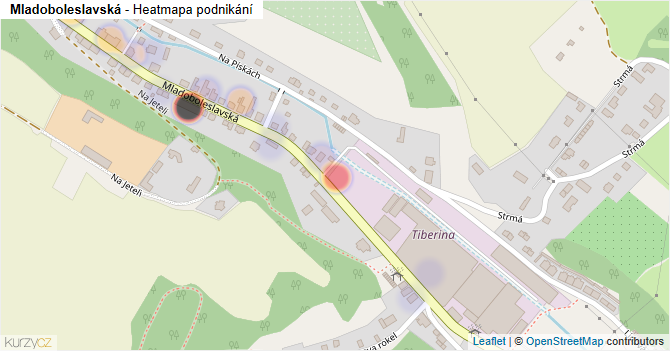 Mladoboleslavská - mapa podnikání