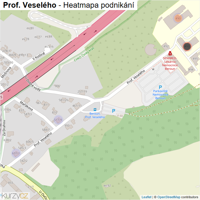 Mapa Prof. Veselého - Firmy v ulici.