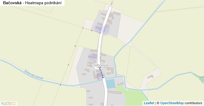 Bačovská - mapa podnikání