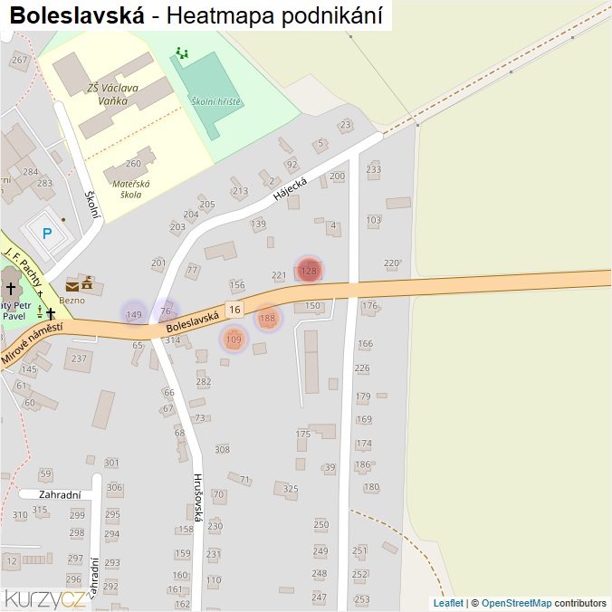 Mapa Boleslavská - Firmy v ulici.