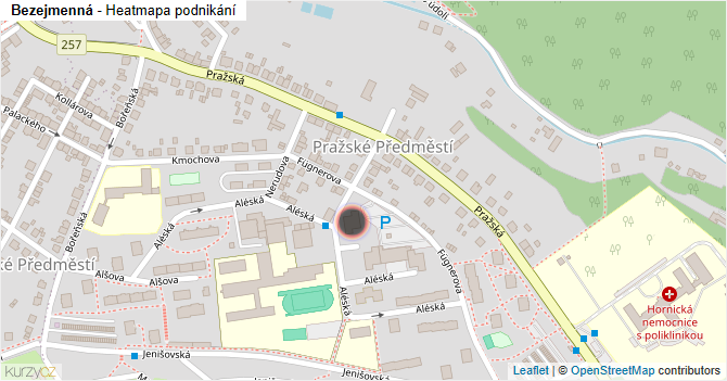 Bezejmenná - mapa podnikání