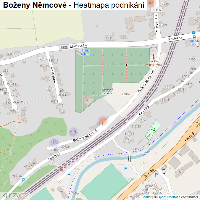 Mapa Boženy Němcové - Firmy v ulici.