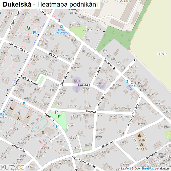 Mapa Dukelská - Firmy v ulici.