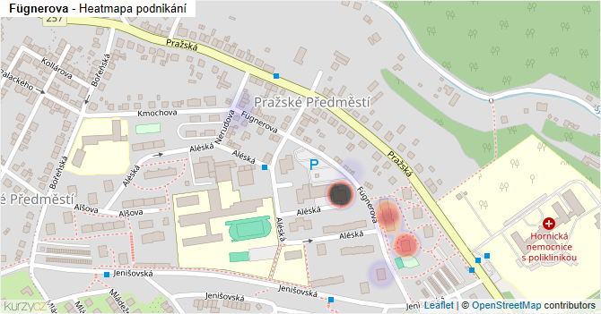 Fügnerova - mapa podnikání