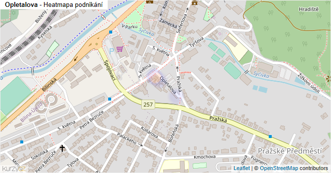 Opletalova - mapa podnikání