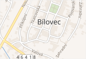 Bílovec v obci Bílovec - mapa části obce
