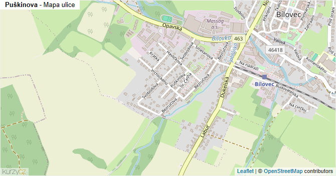 Puškinova - mapa ulice