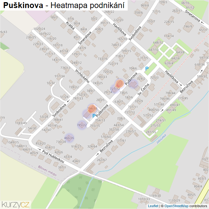 Mapa Puškinova - Firmy v ulici.