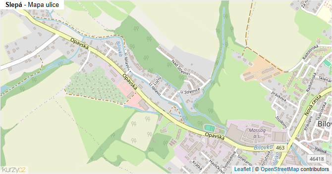 Slepá - mapa ulice