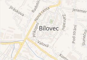 Slezské náměstí v obci Bílovec - mapa ulice