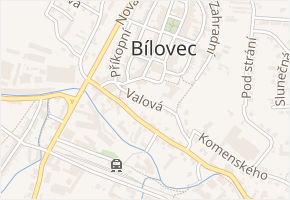 Valová v obci Bílovec - mapa ulice