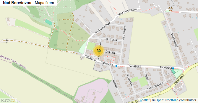Nad Borešovou - mapa firem