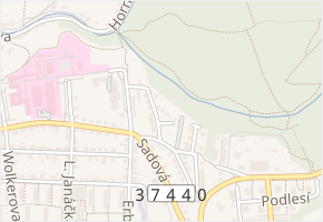Lesní v obci Blansko - mapa ulice