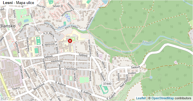 Lesní - mapa ulice