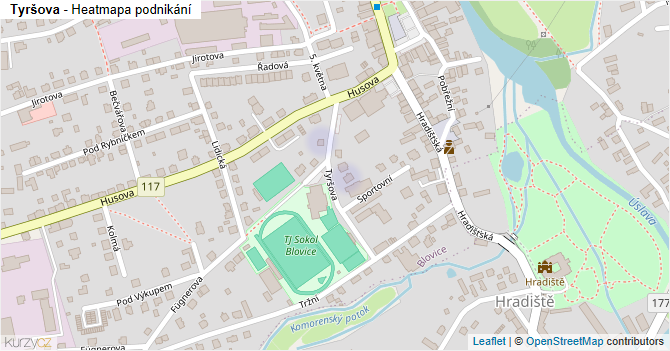 Tyršova - mapa podnikání