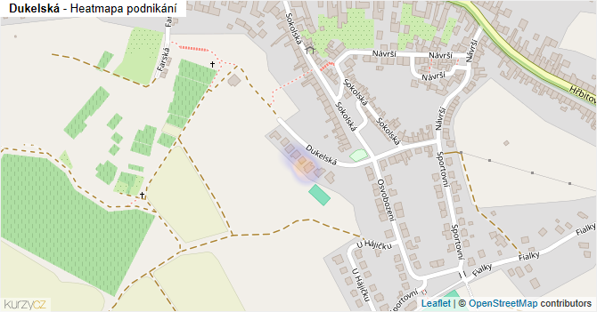 Dukelská - mapa podnikání