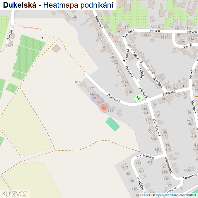 Mapa Dukelská - Firmy v ulici.