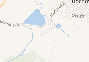 Lipová v obci Bochov - mapa ulice