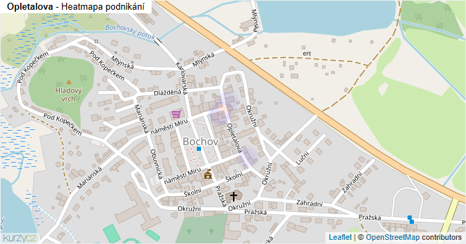 Opletalova - mapa podnikání
