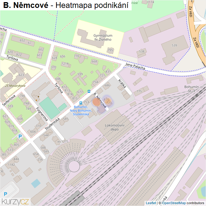 Mapa B. Němcové - Firmy v ulici.