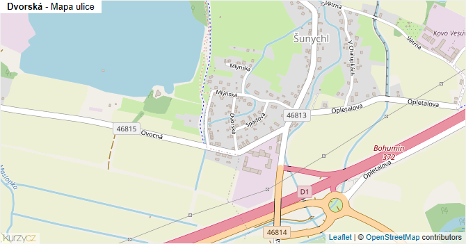 Dvorská - mapa ulice