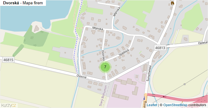 Dvorská - mapa firem