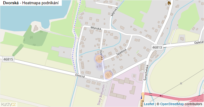 Dvorská - mapa podnikání