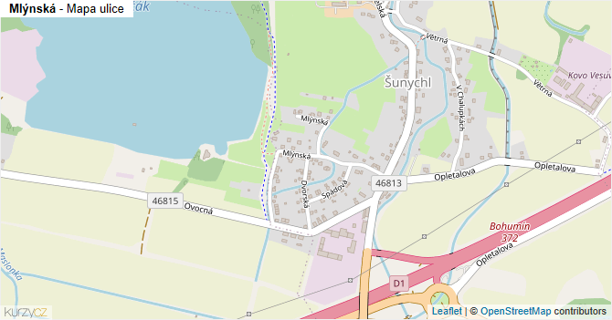 Mlýnská - mapa ulice