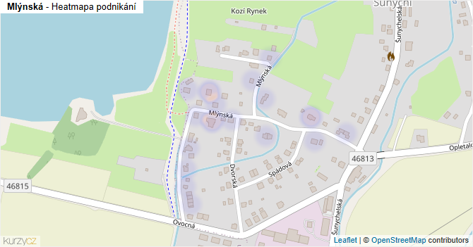 Mlýnská - mapa podnikání