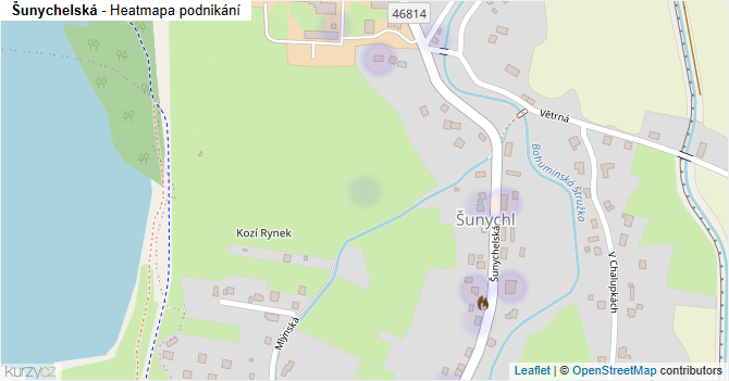 Šunychelská - mapa podnikání