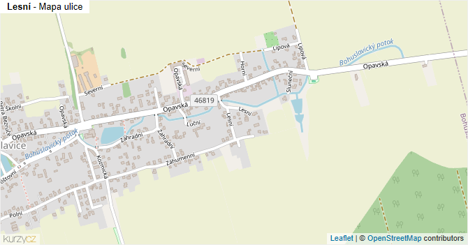 Lesní - mapa ulice