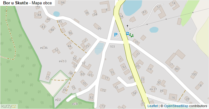 Bor u Skutče - mapa obce