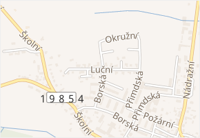 Luční v obci Bor - mapa ulice
