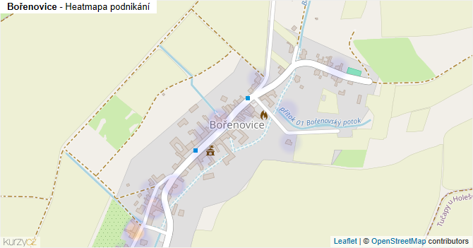 Bořenovice - mapa podnikání