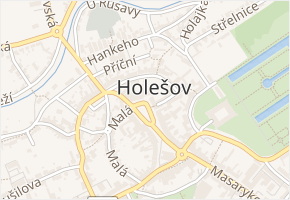 Flíček v obci Bořenovice - mapa ulice