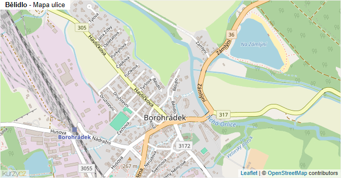 Bělidlo - mapa ulice