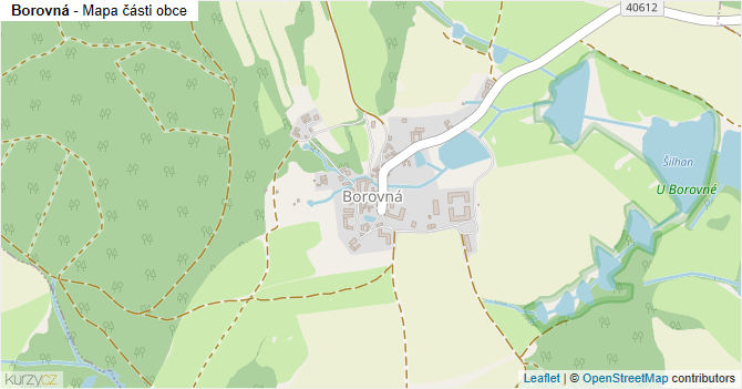 Borovná - mapa části obce