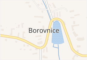 Borovnice v obci Borovnice - mapa části obce