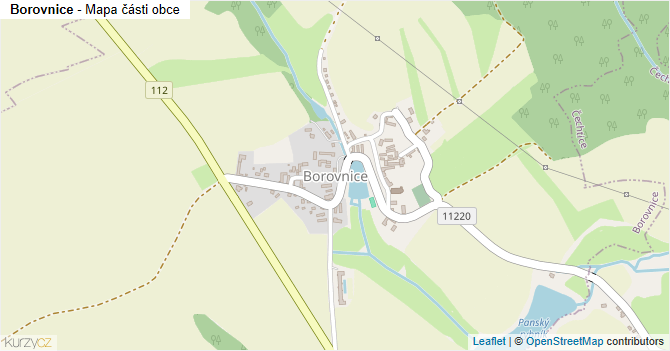 Borovnice - mapa části obce