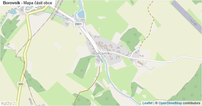 Borovník - mapa části obce