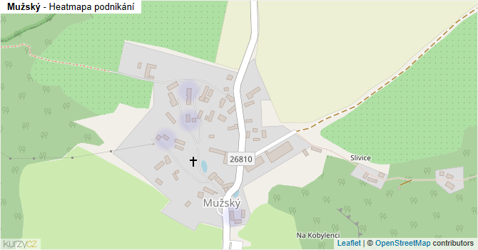 Mužský - mapa podnikání