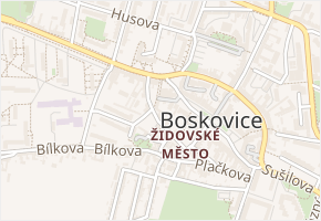 Antonína Trapla v obci Boskovice - mapa ulice