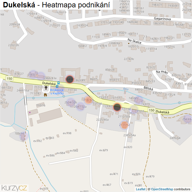 Mapa Dukelská - Firmy v ulici.