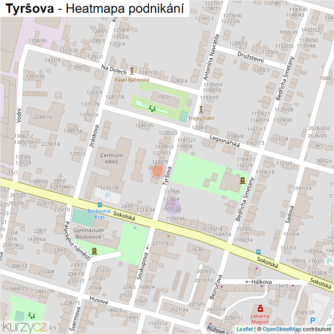 Mapa Tyršova - Firmy v ulici.
